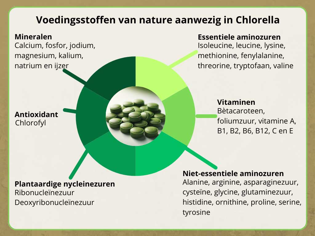 Voedingsstoffen die van nature aanwezig zijn in Chlorella
